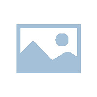 危险品出口资料详细版